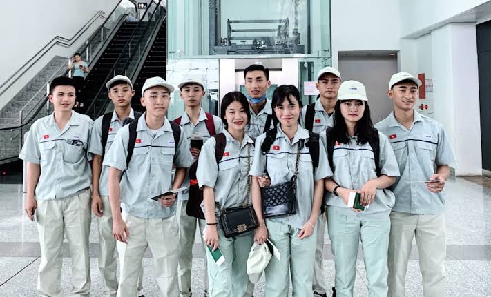 Tuyển lao động Kỹ năng đặc định Nhật Bản (SSW/Tokutei Ginou): Điều kiện, 16 Ngành & Quyền lợi